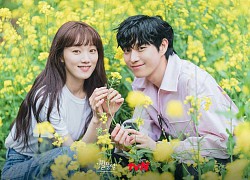 Kim Young Dae hậu 'Shooting Stars': Từng sốc nặng khi rating phim chỉ đạt 1-2%, 'không để tâm' vì được nhận xét là 'bản sao Kang Dong Won'?