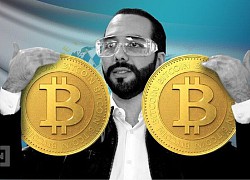 Tổng thống El Salvador: 'Đừng nhìn giá Bitcoin, hãy tận hưởng'