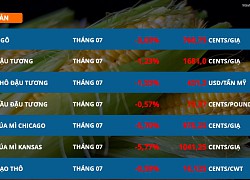 Chỉ số MXV-Index giảm điểm do lực bán mạnh trên nhóm nông sản