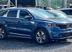 Crossover cỡ trung tại Việt Nam: Kia Sorento gây bất ngờ