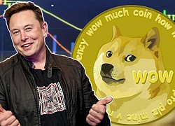 Elon Musk: 'Tôi chưa bao giờ khuyên ai đầu tư tiền số'