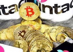 Giá Bitcoin hôm nay 24/6: Bitcoin vọt tăng, thị trường dậy sóng