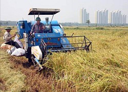 Hà Nội khuyến khích đầu tư vào cơ giới hóa trong sản xuất nông nghiệp