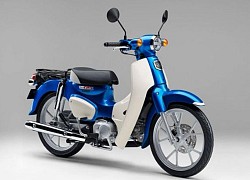 Honda Super Cub 110 2022 ra mắt phiên bản nâng cấp