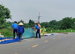 Kiểm tra, xử lý tình trạng phơi thóc trên đường bộ tại Hà Nội gây mất an toàn giao thông