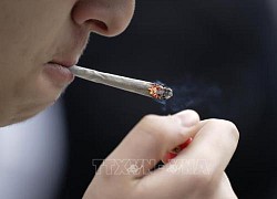 Mỹ có kế hoạch giới hạn lượng nicotine trong thuốc lá