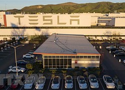 Tỷ phú Musk: Các nhà máy sản xuất ôtô mới của Tesla "lỗ hàng tỷ USD"