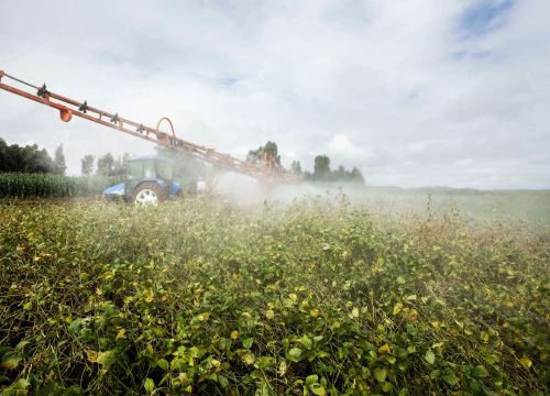 Ủy ban châu Âu chủ trương cấm thuốc trừ sâu neonicotinoids trong sản phẩm nhập khẩu