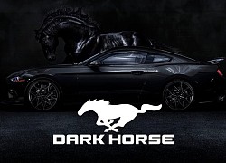 Ford Mustang phiên bản đặc biệt Dark Horse sắp ra mắt