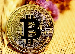 Giá Bitcoin hôm nay 27/6: Bitcoin lao dốc, thị trường đỏ lửa