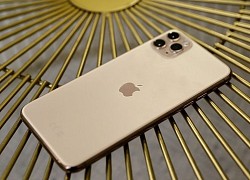 iPhone 11 Pro Max có những màu nào?