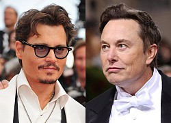 Johnny Depp và Elon Musk, ai mới là người thê thảm hơn khi yêu phải Amber Heard?