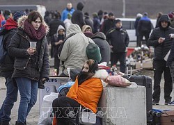 Liên hợp quốc: Số người Ukraine bị ly tán, mất nhà cửa đã vượt quá ở Syria