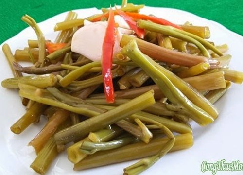 Nhớ rau muống muối mẹ làm