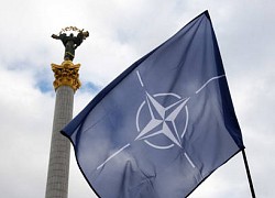 Ukraine từ bỏ gia nhập NATO