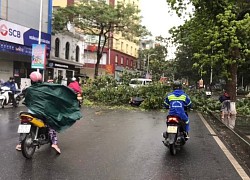 Ảnh hưởng của bão số 1 gây mưa và gió mạnh ở TP.Hải Phòng