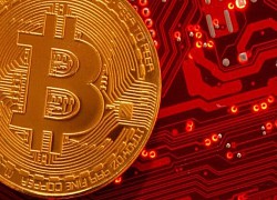 Giá Bitcoin hôm nay 1/7: Bitcoin giảm sập sàn