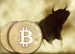 Giá Bitcoin hôm nay 3/7: Bitcoin đi ngang, toàn sàn lặng sóng