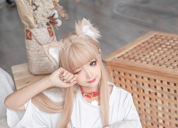 Cùng Ngắm Nhìn Cosplay Bé Mèo Xinh Xắn Nhưng Mà Sao Nó...'Lạ' Lắm