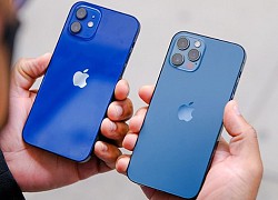 iPhone tròn 15 năm tuổi