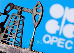 OPEC+ quyết định giữ nguyên chính sách sản lượng dầu