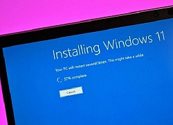 Windows 11 vượt mốc 23% thị phần hệ điều hành Windows