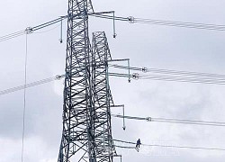 Dự kiến đóng điện Đường dây 500 kV mạch 3 vào cuối tháng 7/2022