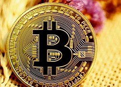 Giá Bitcoin hôm nay 28/7: Đảo chiều tăng dựng đứng