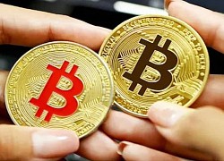 Giá Bitcoin hôm nay 29/7: Tiếp tục tăng, sắp chạm 24.000 USD