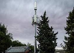 Quân đội Ấn Độ tăng cường triển khai mạng lưới 5G dọc biên giới Trung Quốc