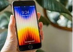 iPhone SE mới dự kiến có giá 12,99 triệu đồng