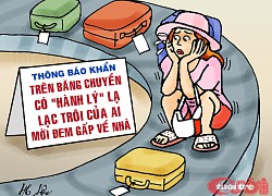 Tiktoker 'sống ảo tung chảo' tại sân bay