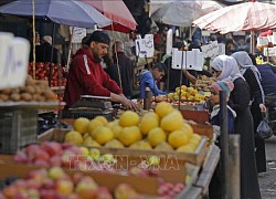 Liban kêu gọi thành lập thị trường chung Arab để đảm bảo an ninh lương thực