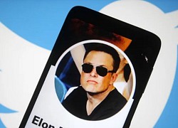 Nhân viên Twitter thất vọng vì lý do bỏ cọc không thuyết phục của Elon Musk