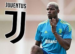 Pogba khiến Juventus vỡ kế hoạch và tốn tiền