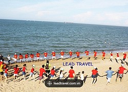 Sức hút từ du lịch team building