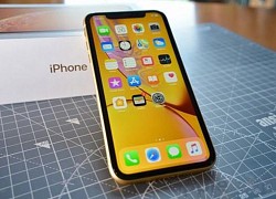 iPhone XR biến mất trên các kệ hàng chính hãng tại Việt Nam