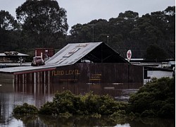 Quân đội Australia được huy động hỗ trợ dân ứng phó lụt lội nghiêm trọng