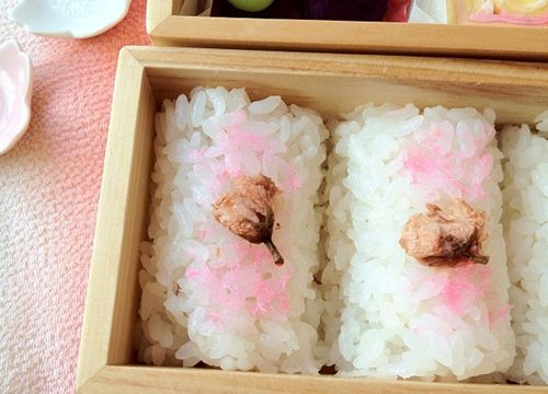 Cơm bento sakura: 2 cách làm thơm ngon đúng vị Nhật Bản