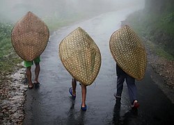 Cuộc sống trong ngôi làng mệnh danh là 'nơi ẩm ướt nhất thế giới'