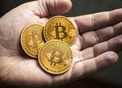 Giá Bitcoin hôm nay 4/7: Chưa thể bứt phá, Bitcoin xoay quanh 19.000 USD