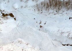 Italy: Lở tuyết trên dãy núi Alps, 6 người thiệt mạng