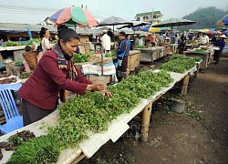 Lạm phát tại Lào cao nhất trong 22 năm