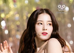 Thành viên nhóm nhạc MOMOLAND thừa nhận bị công ty sa thải vô lý