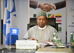 Tổng thư ký tổ chức OPEC Mohammed Barkindo qua đời