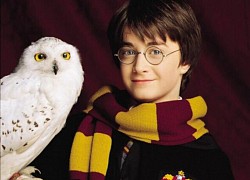 Vai Harry Potter suýt về tay mỹ nam này: Hoàn hảo từ nhan sắc đến diễn xuất, bị loại vì 1 điều luật khắt khe