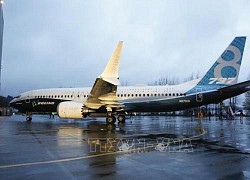 Boeing cảnh báo dừng chế tạo dòng máy bay 737 MAX 10