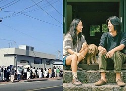 Lee Hyori bị chỉ trích 'đạo đức giả' khi mở quán ở Jeju