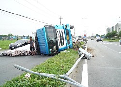 Vĩnh Long: Sau va chạm xe máy, xe tải leo dải phân cách 'hạ gục' trụ đèn