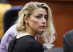 Amber Heard bị từ chối trả một triệu USD bảo hiểm